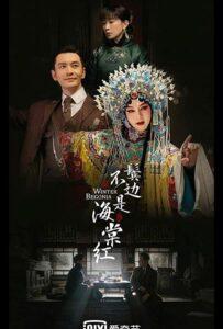 Зимняя бегония (2020) Смотреть Дорамы про Историю на ЛордФильм